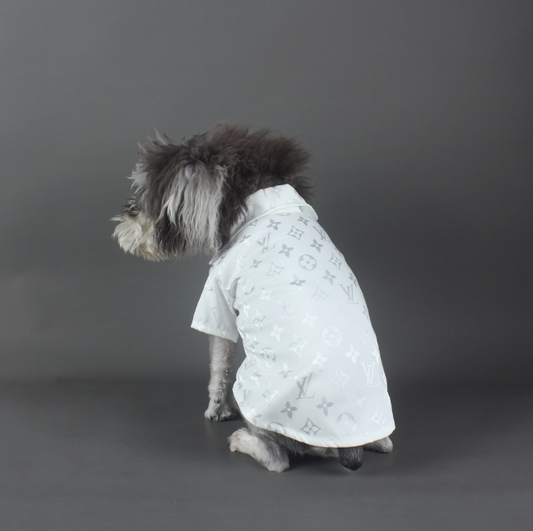 All White Party Pooch - Medium